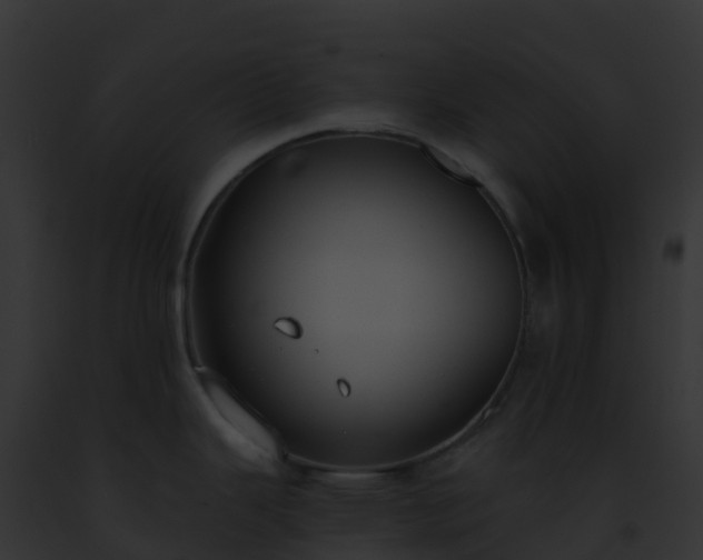 X0000093091343200710031431