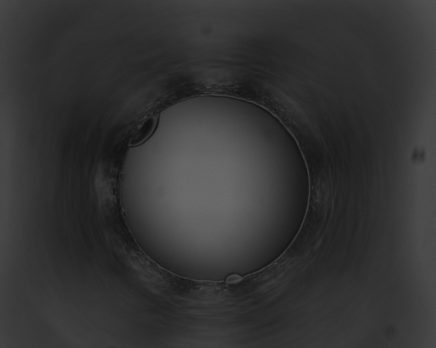 X0000093091346200710031430