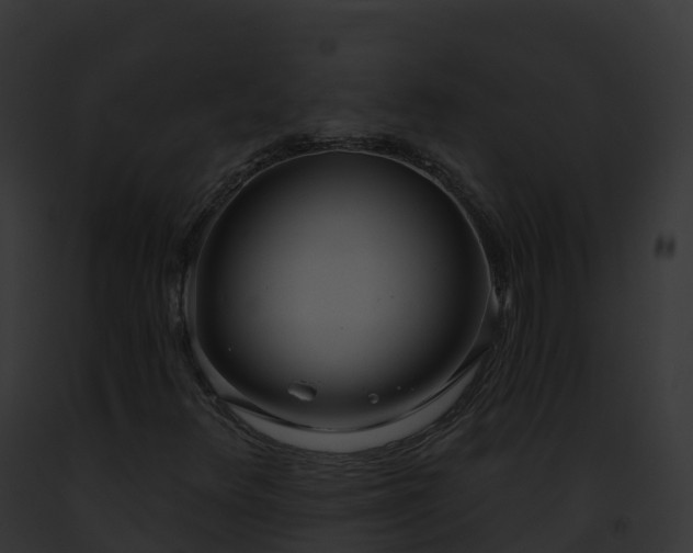 X0000093091348200710031430