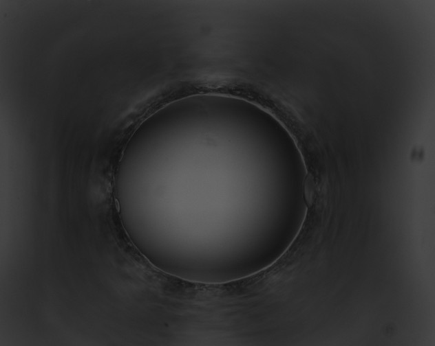 X0000093091349200710031430