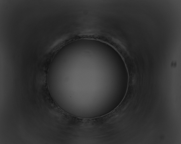 X0000093091350200710031430