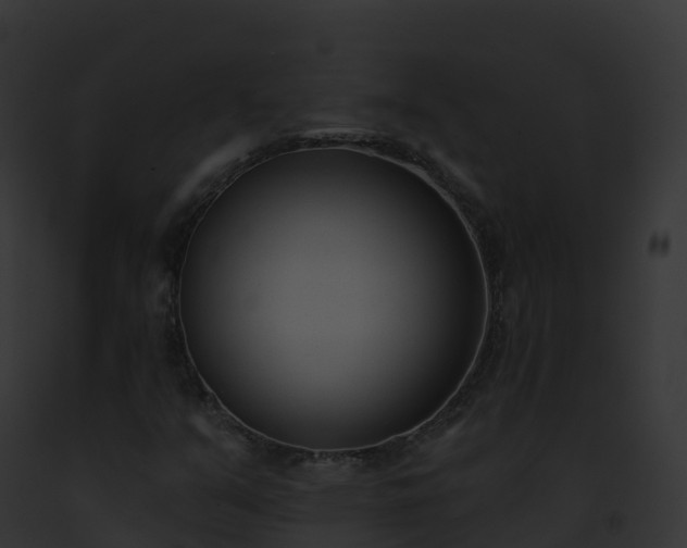 X0000093091351200710031430