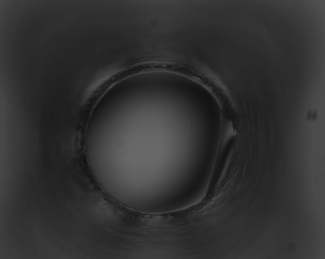X0000093091352200710031430