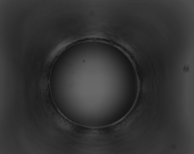 X0000093091359200710031430