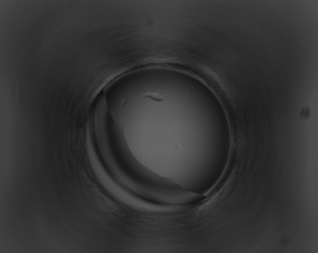 X0000093091361200710031430