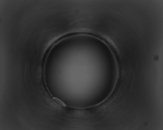X0000093091364200710031430