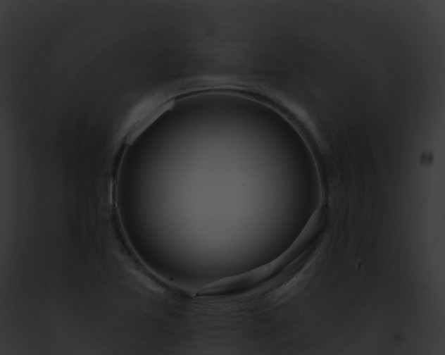 X0000093091365200710031430