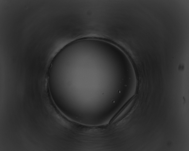 X0000093091367200710031430