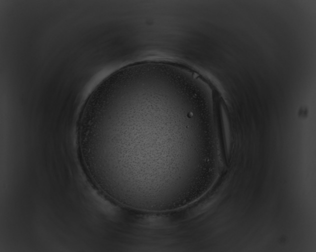 X0000093091375200710031430