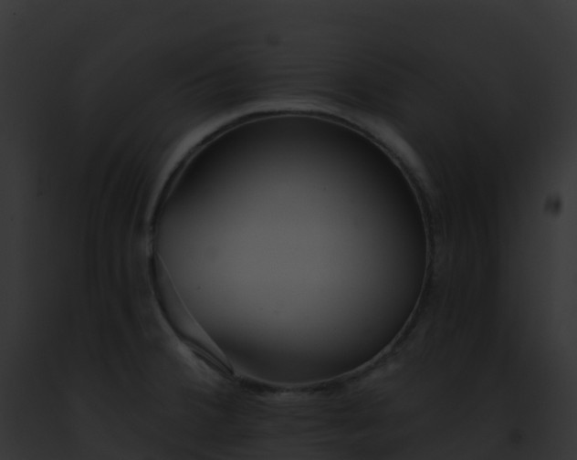 X0000093091380200710031429