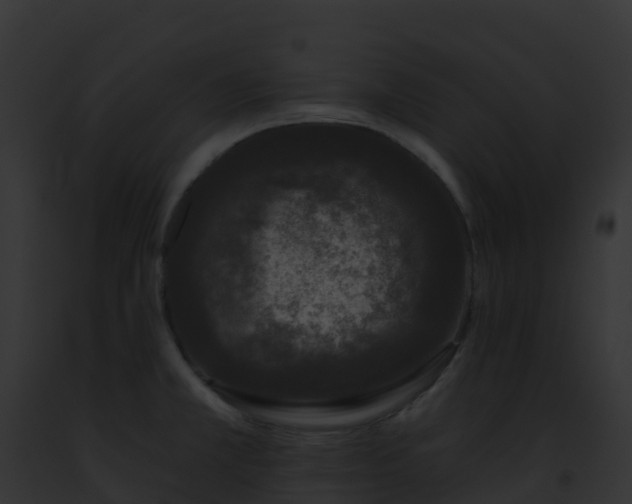 X0000093091381200710031429