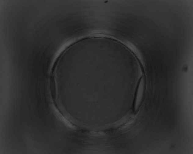 X0000093091384200710031429