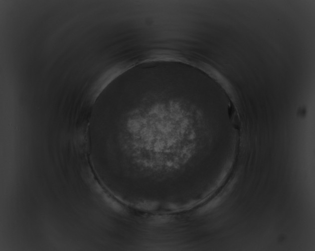 X0000093091385200710031429