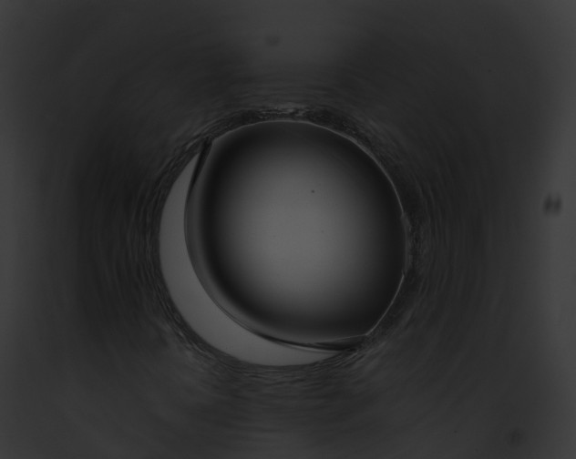 X0000093091394200710031429