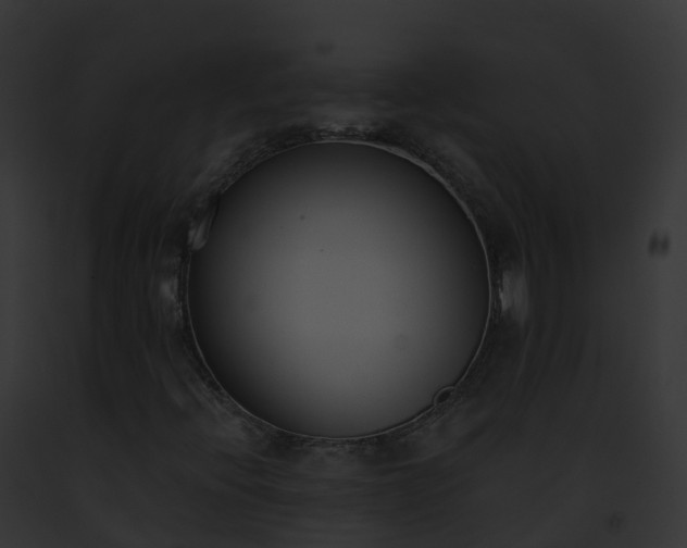 X0000093091396200710031429