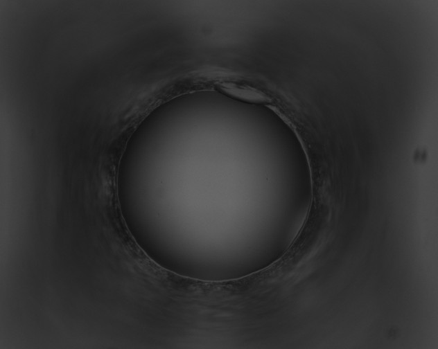 X0000093091397200710031429