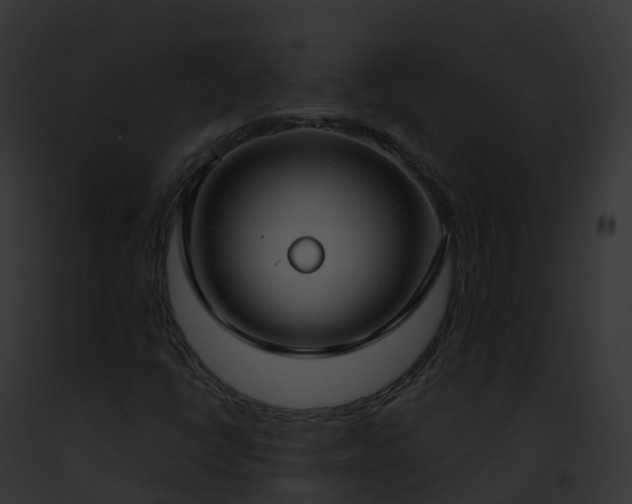 X0000093091398200710031429