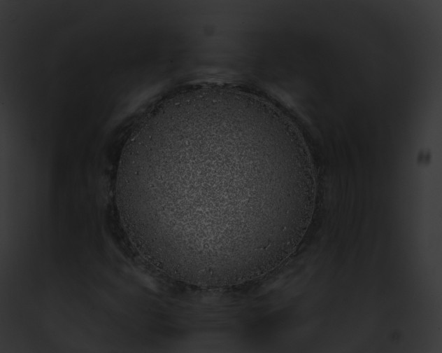 X0000093091399200710031429