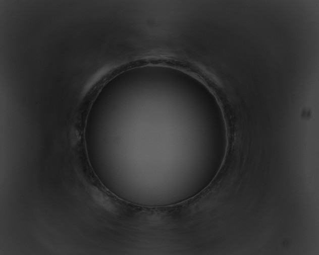 X0000093091400200710031429
