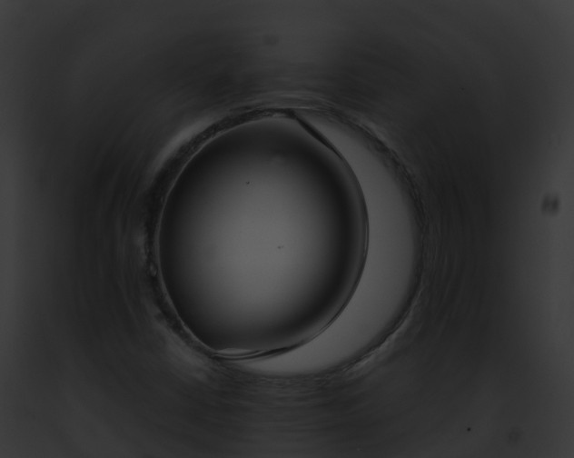 X0000093091402200710031429
