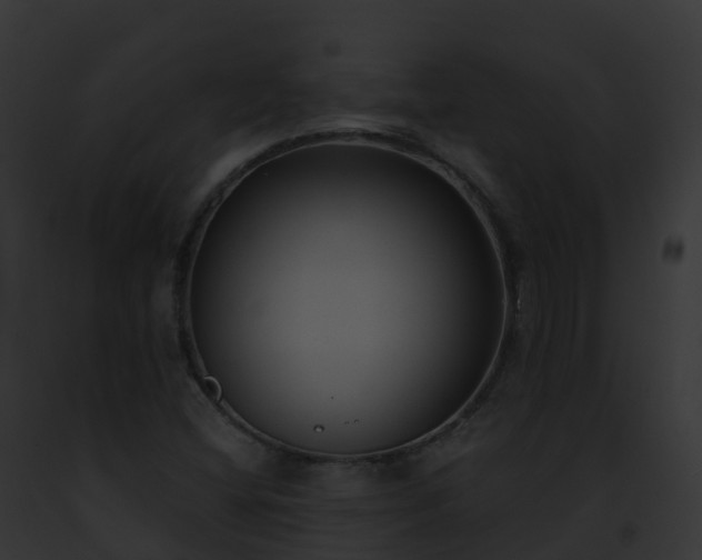 X0000093091404200710031429