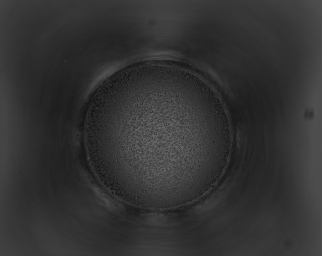 X0000093091405200710031429