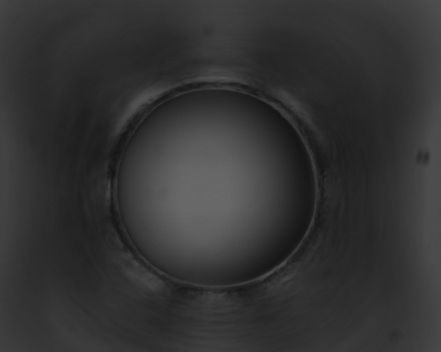 X0000093091408200710031429