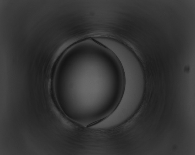 X0000093091418200710031429