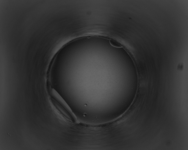 X0000093091423200710031429