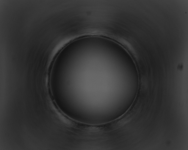X0000093091424200710031429