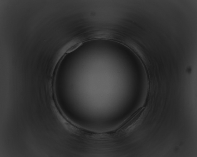 X0000093091434200710031429