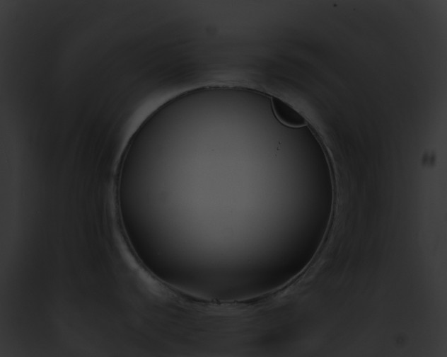 X0000093091440200710031429