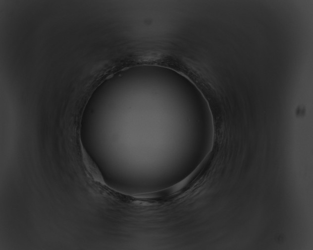 X0000093091441200710031429