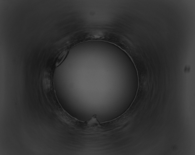 X0000093091442200710031429
