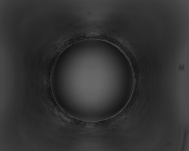 X0000093091445200710031429