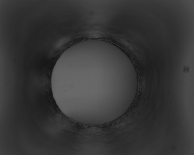 X0000093091446200710031429