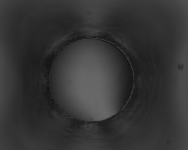 X0000093091447200710031429