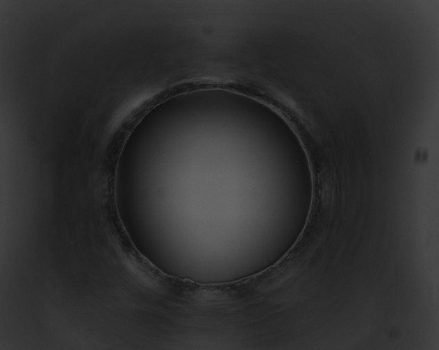 X0000093091448200710031429