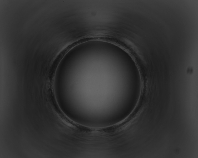 X0000093091449200710031429
