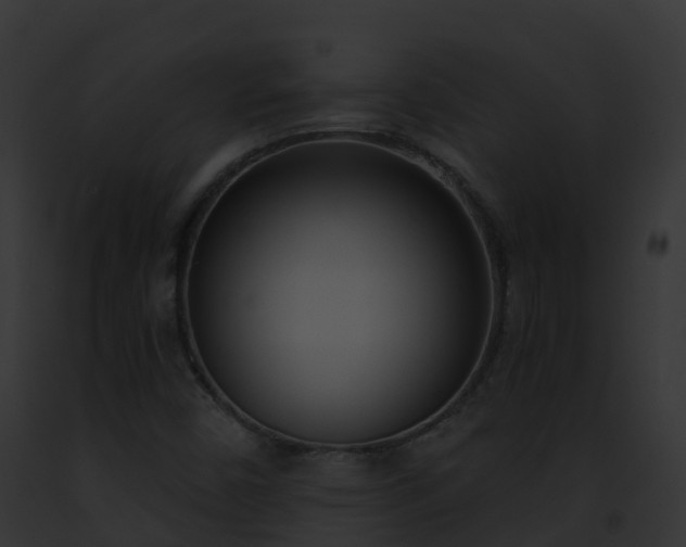 X0000093091450200710031429
