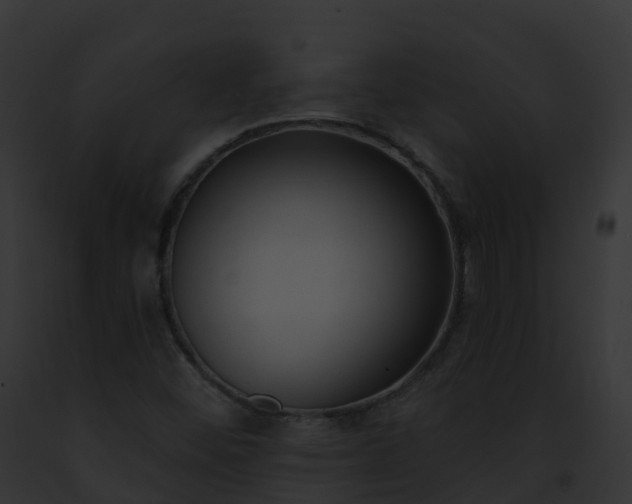 X0000093091452200710031429