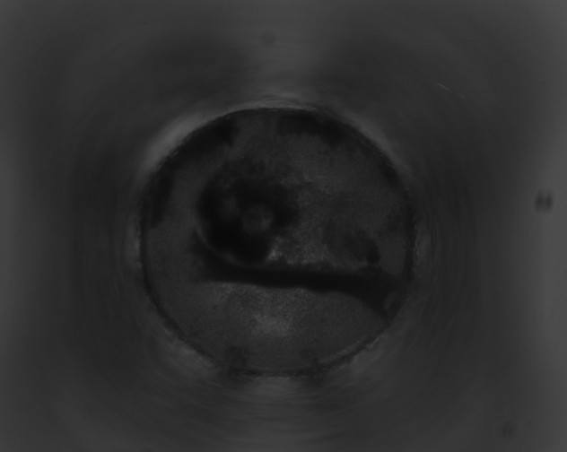 X0000093091455200710031429