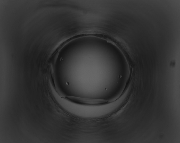 X0000093091457200710031429