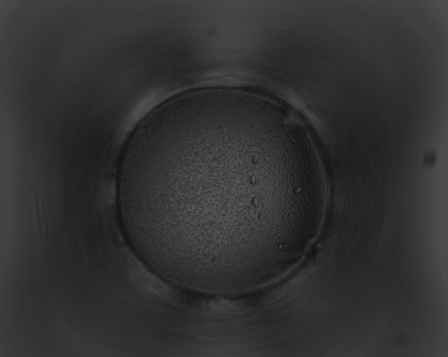 X0000093091459200710031429