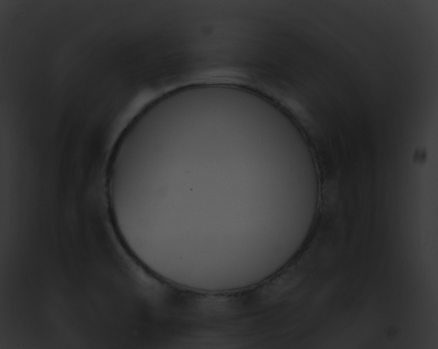 X0000093091470200710031428