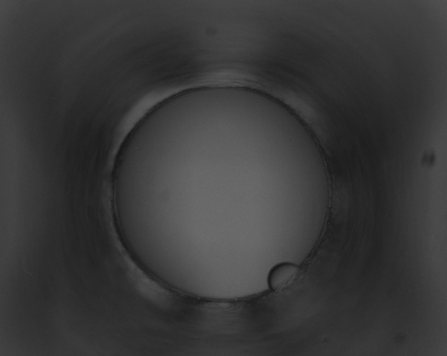 X0000093091478200710031428