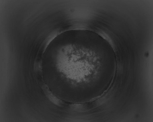 X0000093091481200710031428