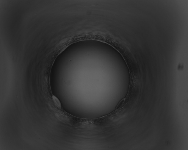 X0000093091489200710031428