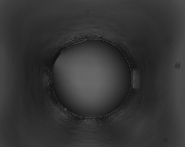 X0000093091491200710031428