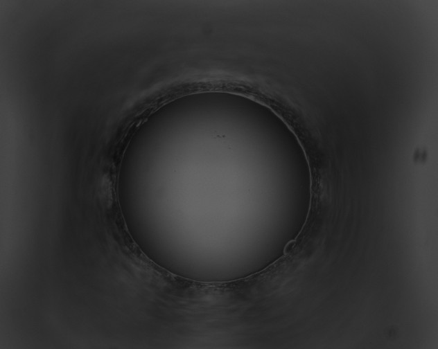 X0000093091493200710031428